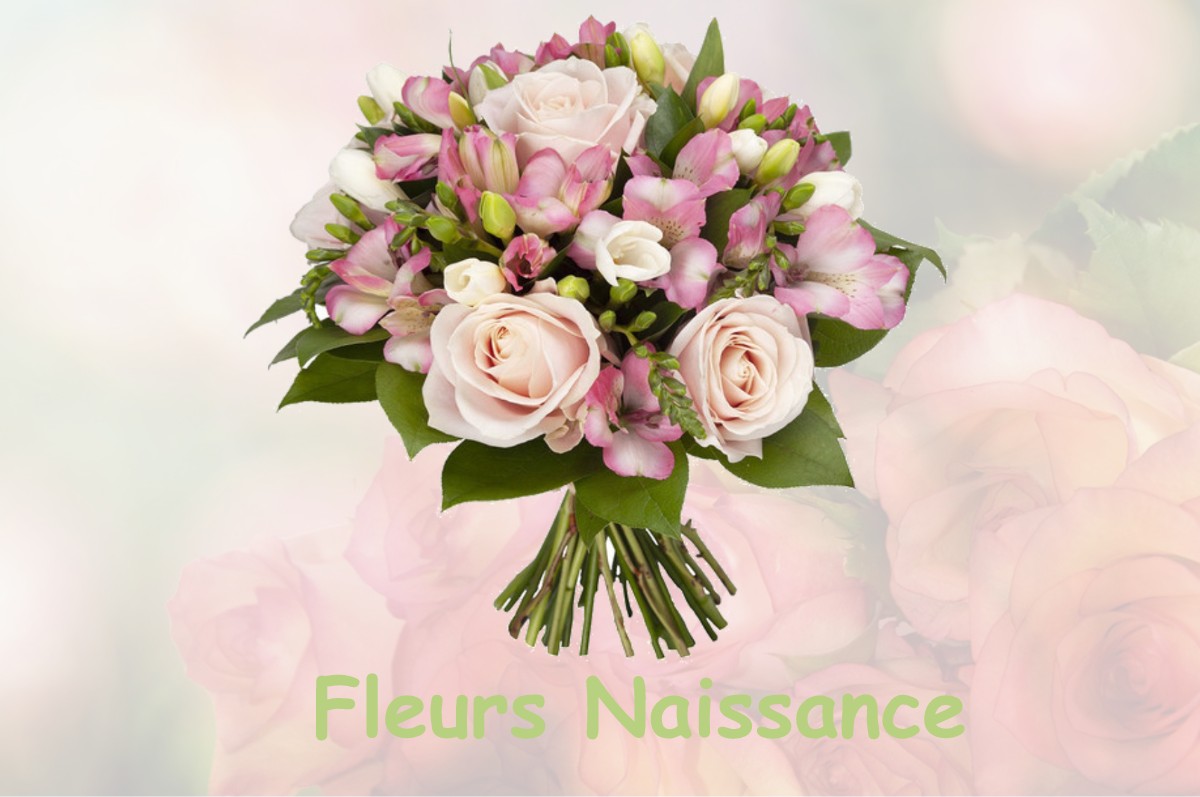 fleurs naissance SAINT-CIERGE-LA-SERRE